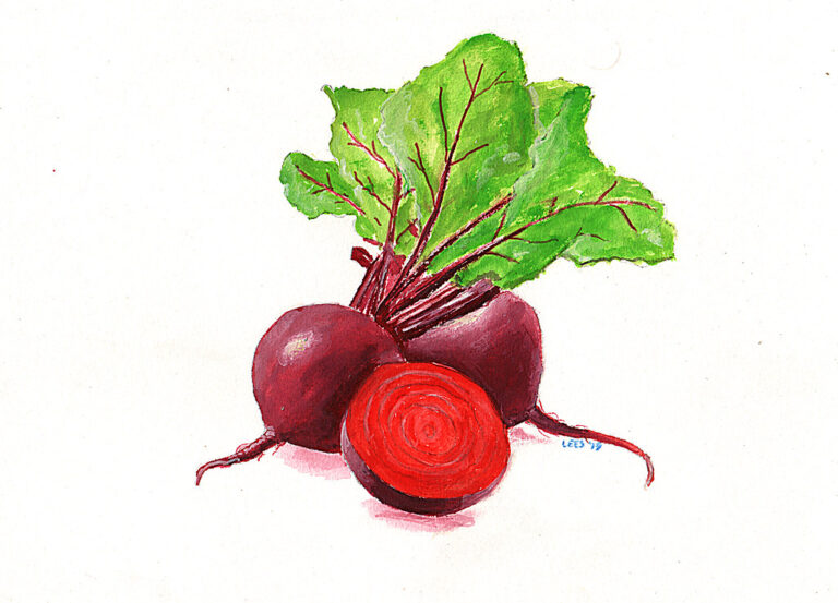 beetroot in Arabic