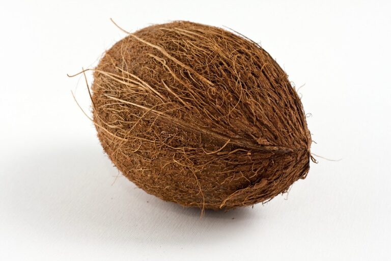 coconut in Arabic