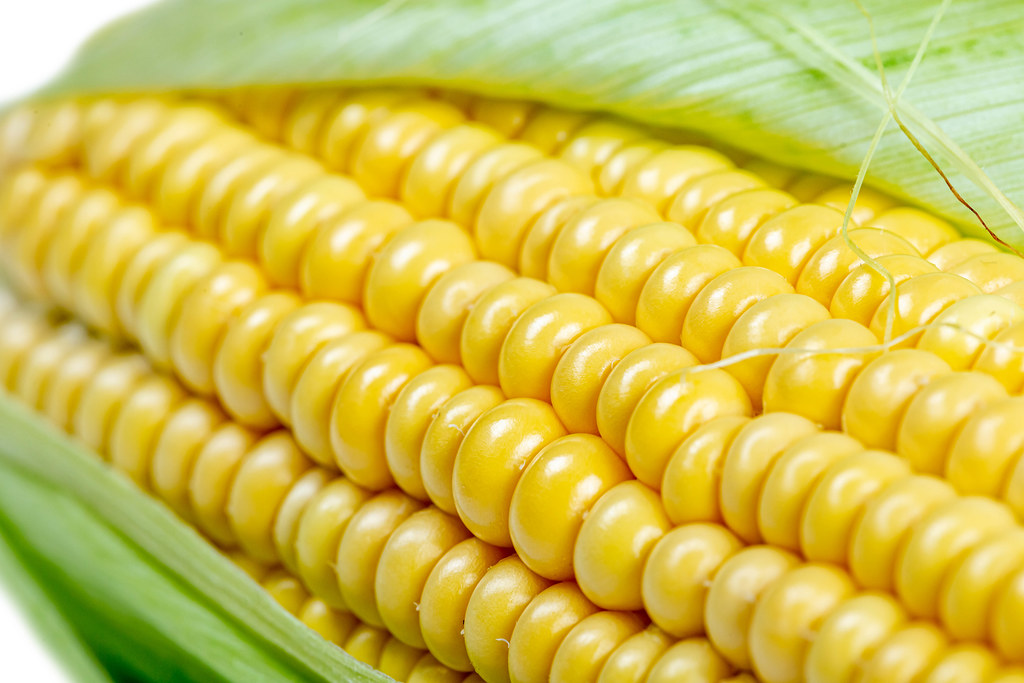 Corn In Arabic With Pronunciation | Arabic Lantern