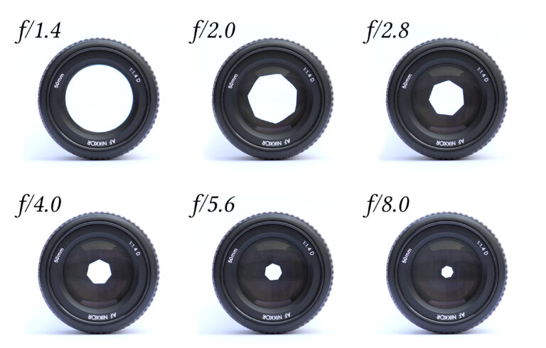 lens in Arabic