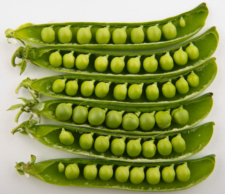 peas in Arabic