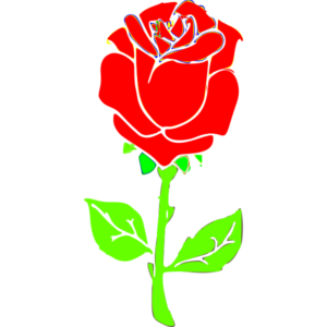 rose in Arabic