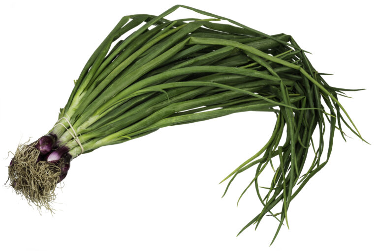 scallion in Arabic