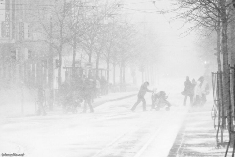 snowstorm in Arabic