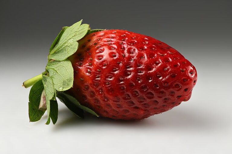 strawberry in Arabic