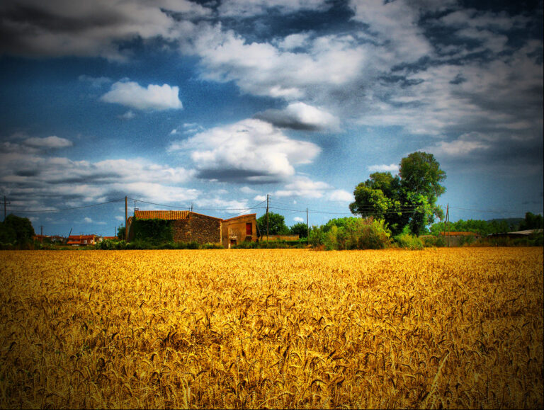 rural in Arabic